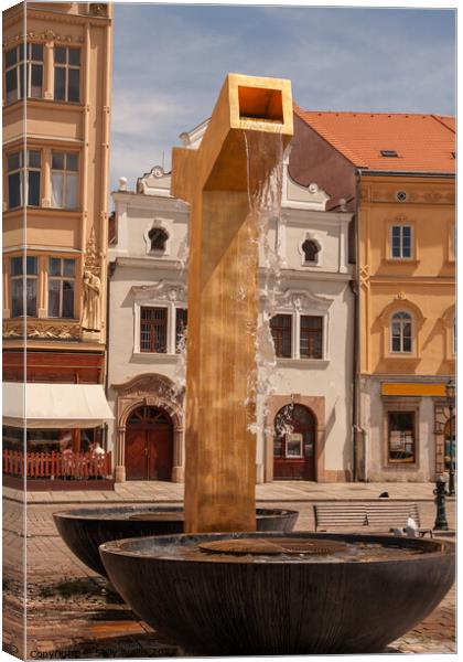 Fountain in Pilsen, Czech Republic Canvas Print by Sally Wallis