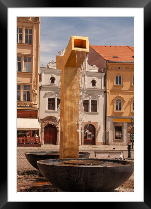Fountain in Pilsen, Czech Republic Framed Mounted Print by Sally Wallis