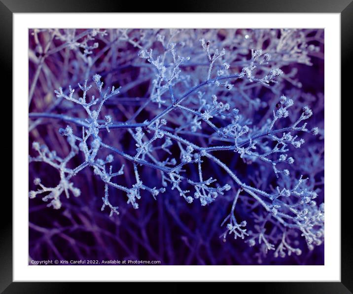 First frost magic Framed Mounted Print by Kris Careful