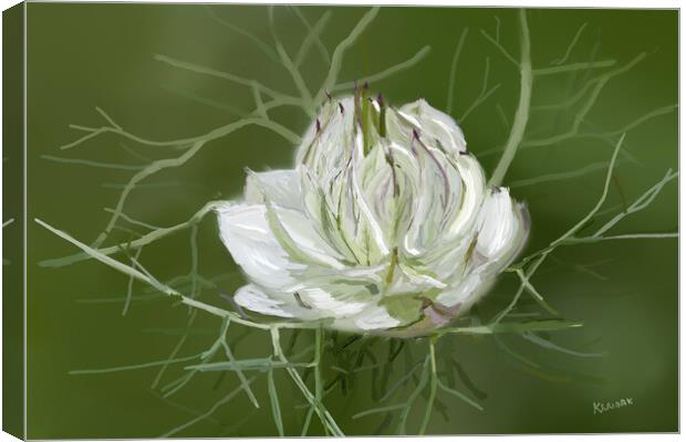 Love In A Mist - Painting Canvas Print by Christine Kerioak