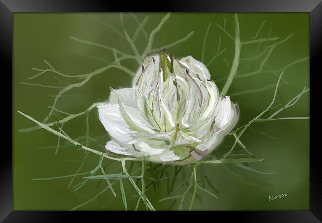 Love In A Mist - Painting Framed Print by Christine Kerioak