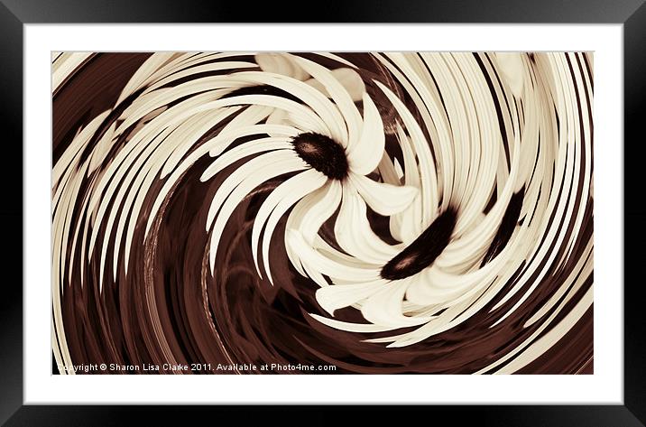 Chocolate and cream Framed Mounted Print by Sharon Lisa Clarke