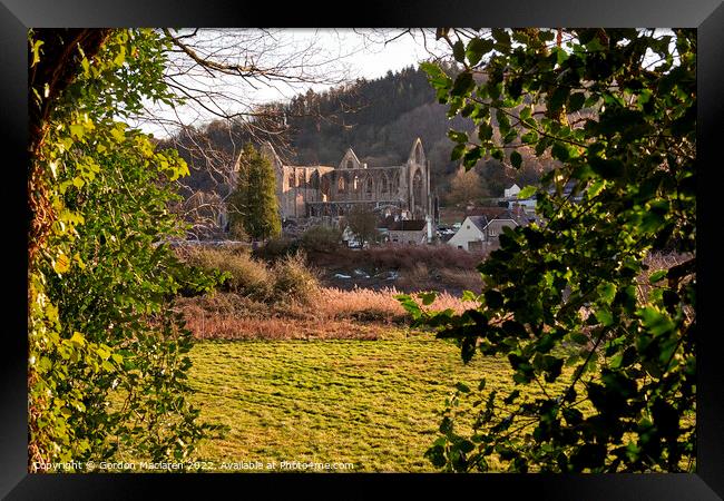 Tintern Abbey, Monmouthshire, Wales, UK Framed Print by Gordon Maclaren