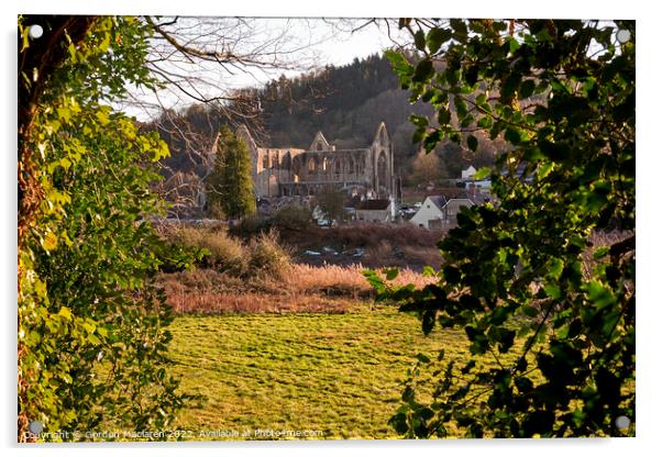 Tintern Abbey, Monmouthshire, Wales, UK Acrylic by Gordon Maclaren