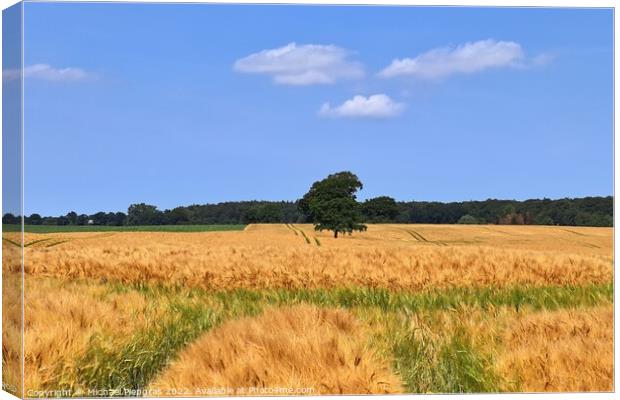 Summer view on agricultural crop and wheat fields ready for harv Canvas Print by Michael Piepgras