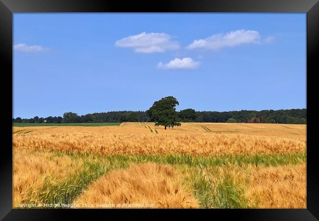 Summer view on agricultural crop and wheat fields ready for harv Framed Print by Michael Piepgras