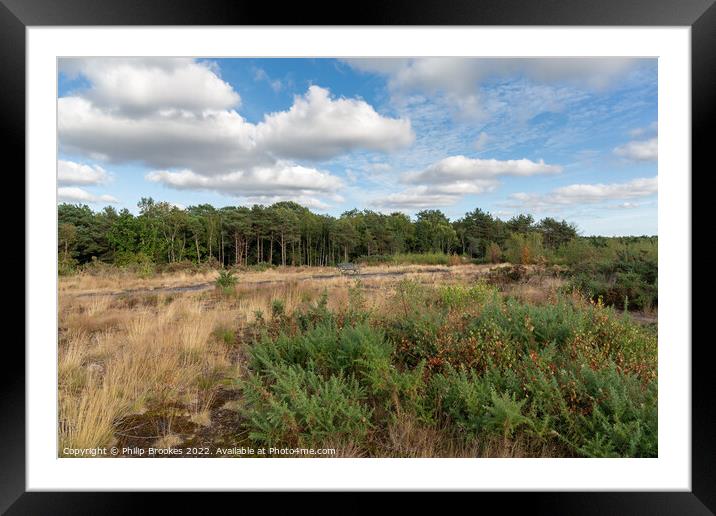 Bidston Hill Framed Mounted Print by Philip Brookes