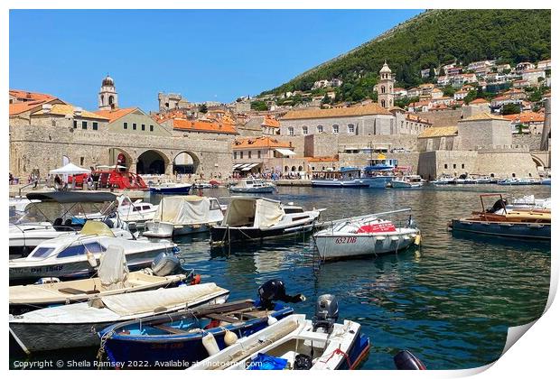 The Harbour Dubrovnik Print by Sheila Ramsey