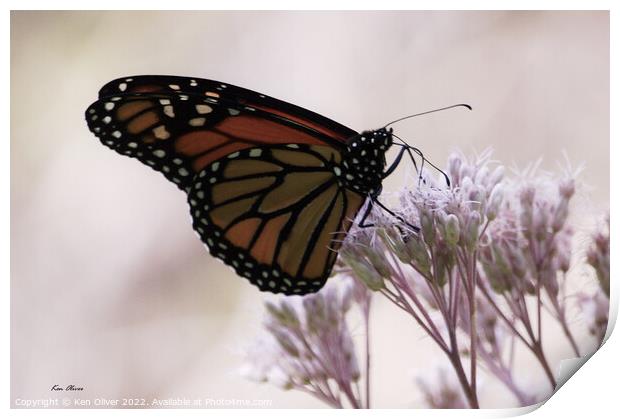 "Radiant Dance of the Monarch Butterfly" Print by Ken Oliver