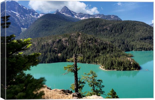 Glacier mountain lake in the north Cascades of Was Canvas Print by Thomas Baker