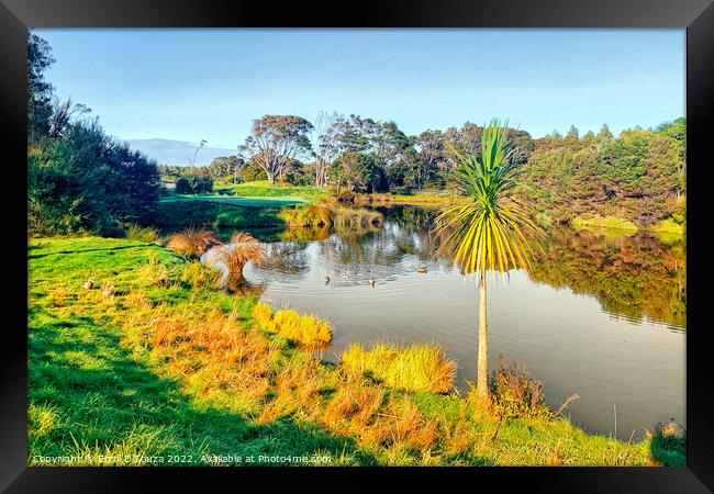 Peaceful Verdant Nature Framed Print by Errol D'Souza