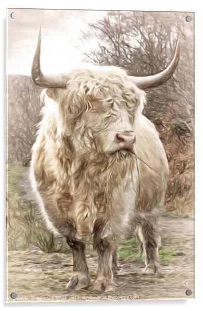 Highland Bull Painting Scottish Highlands. Acrylic by Barbara Jones