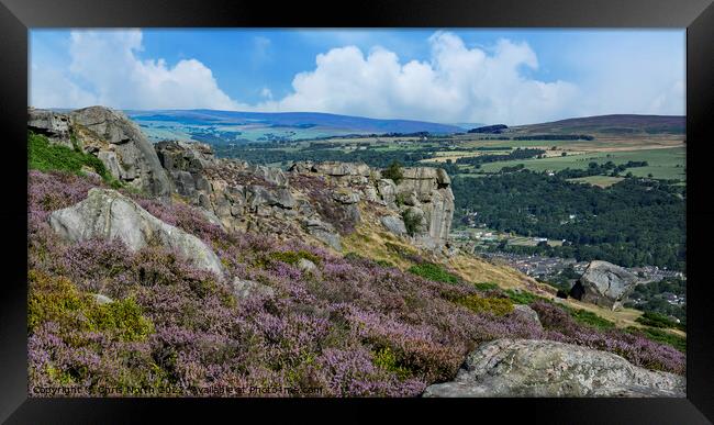 Heather on Ilkley moor Framed Print by Chris North