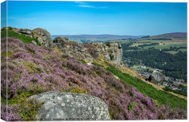 Summer, the Cow and Calf rocks near Ilkley. Canvas Print by Chris North