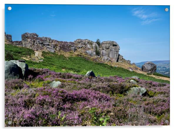 Ilkley Moor in summer Heather Acrylic by Chris North