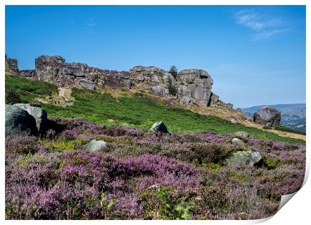 Ilkley Moor in summer Heather Print by Chris North