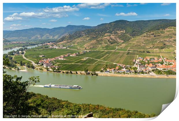 Danube river and vineyards in Wachau valley. Lower Austria. Print by Sergey Fedoskin