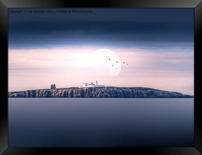 "Silent Serenity: Inner Farne Island Lighthouse" Framed Print by Lee Kershaw