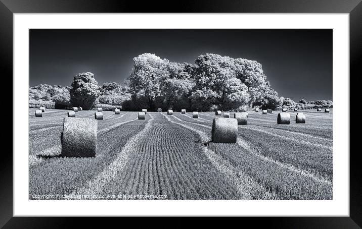 Harvest Framed Mounted Print by Clive Ingram