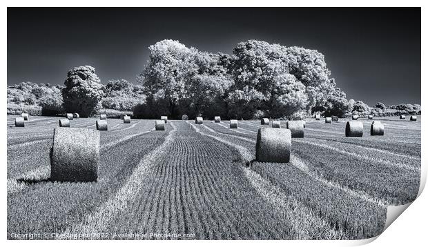 Harvest Print by Clive Ingram