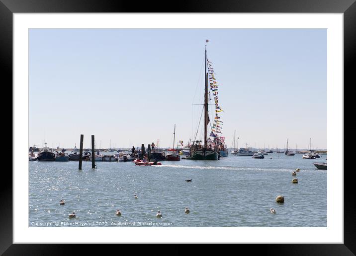 Thames Barge Kitty moored at West Mersea Framed Mounted Print by Elaine Hayward