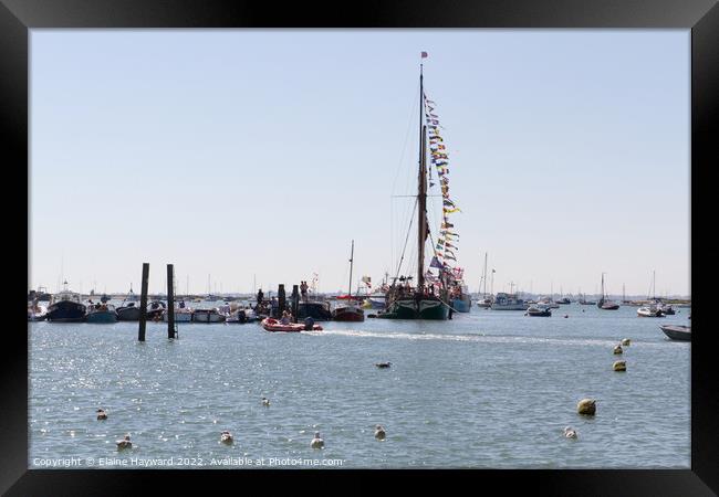 Thames Barge Kitty moored at West Mersea Framed Print by Elaine Hayward