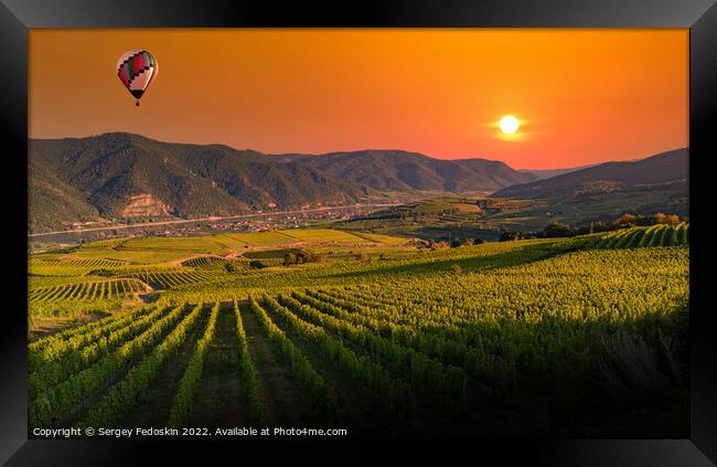 Colorful balloons flying over Wachau valley on a sunset. Austria Framed Print by Sergey Fedoskin