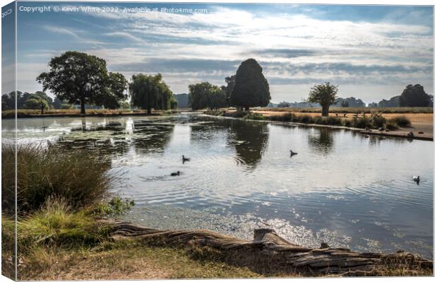 Another bright morning at Bushy Park Canvas Print by Kevin White