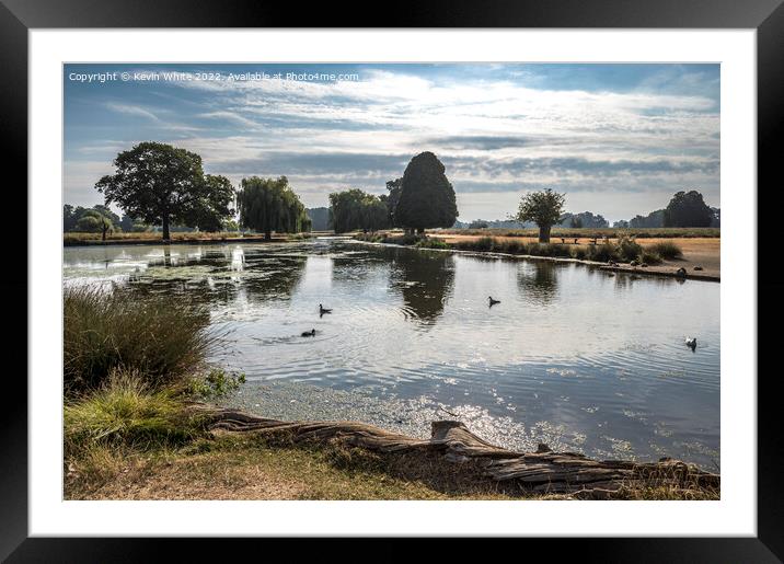 Another bright morning at Bushy Park Framed Mounted Print by Kevin White