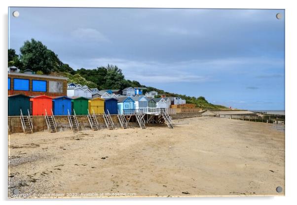 The Naze Beach Huts Acrylic by Diana Mower