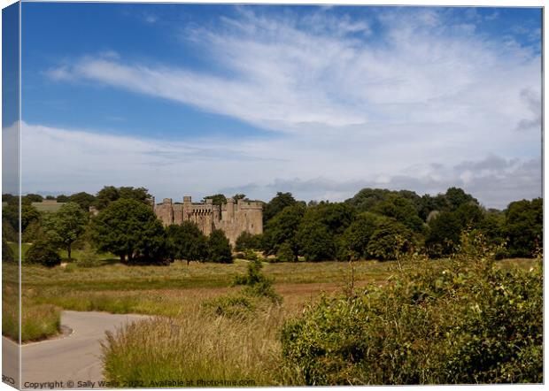 Glimpse of Bodiam Castle across the valley of the River Rother Canvas Print by Sally Wallis