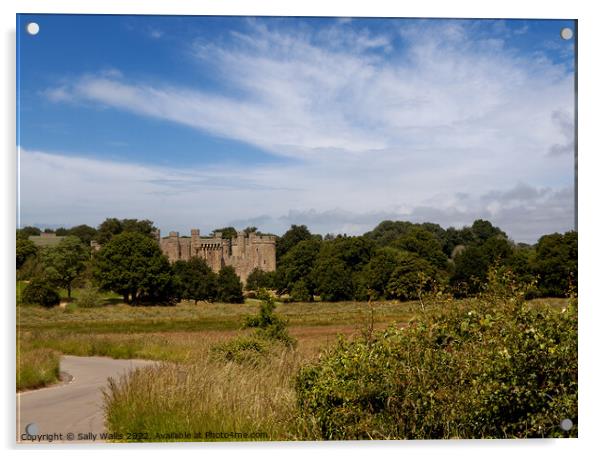 Glimpse of Bodiam Castle across the valley of the River Rother Acrylic by Sally Wallis