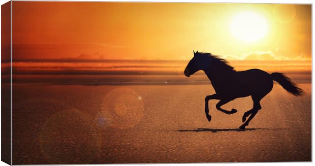 silhouette of the black horse galloping alone on the beach Canvas Print by Guido Parmiggiani