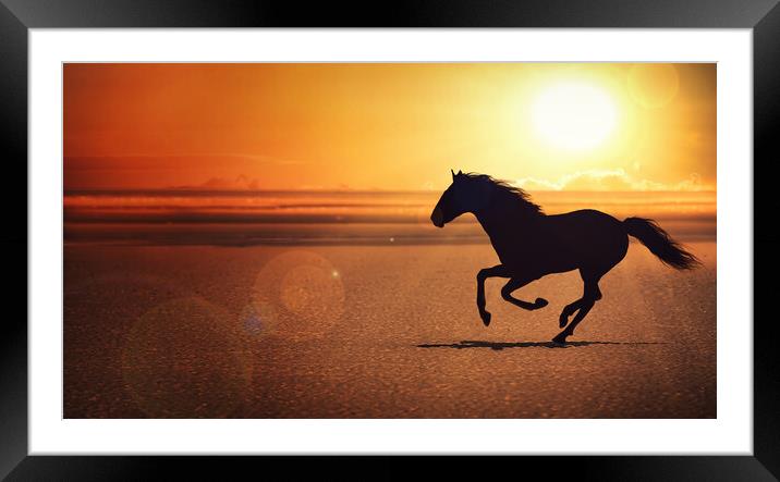 silhouette of the black horse galloping alone on the beach Framed Mounted Print by Guido Parmiggiani
