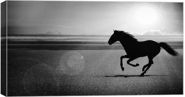 silhouette of the black horse galloping alone on the beach Canvas Print by Guido Parmiggiani