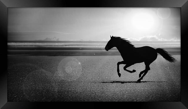 silhouette of the black horse galloping alone on the beach Framed Print by Guido Parmiggiani