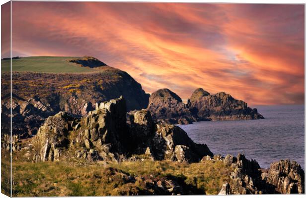 Whithorn cliffs Dumfries and Galloway  Canvas Print by christian maltby