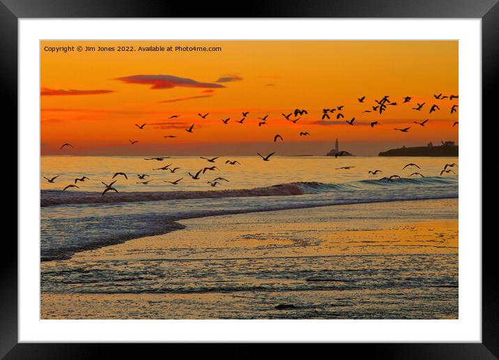 Seagulls soaring skywards Framed Mounted Print by Jim Jones