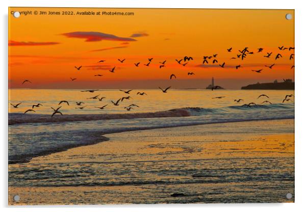 Seagulls soaring skywards Acrylic by Jim Jones