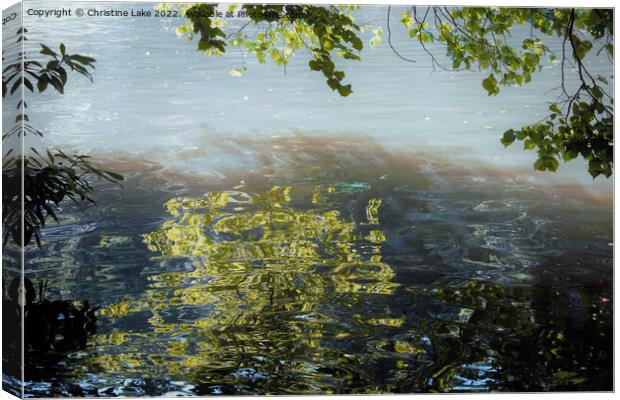 Reflections Of Nature Canvas Print by Christine Lake