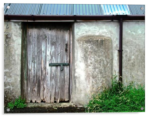 Old Shed Acrylic by Stephanie Moore