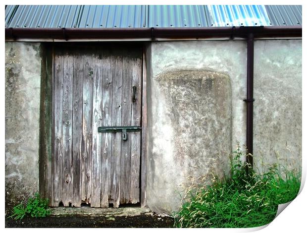 Old Shed Print by Stephanie Moore