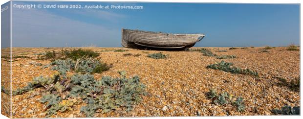 Dungeness boat Canvas Print by David Hare