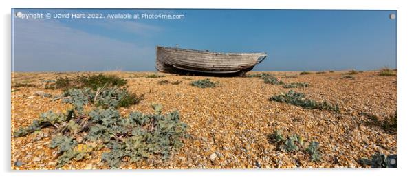 Dungeness boat Acrylic by David Hare