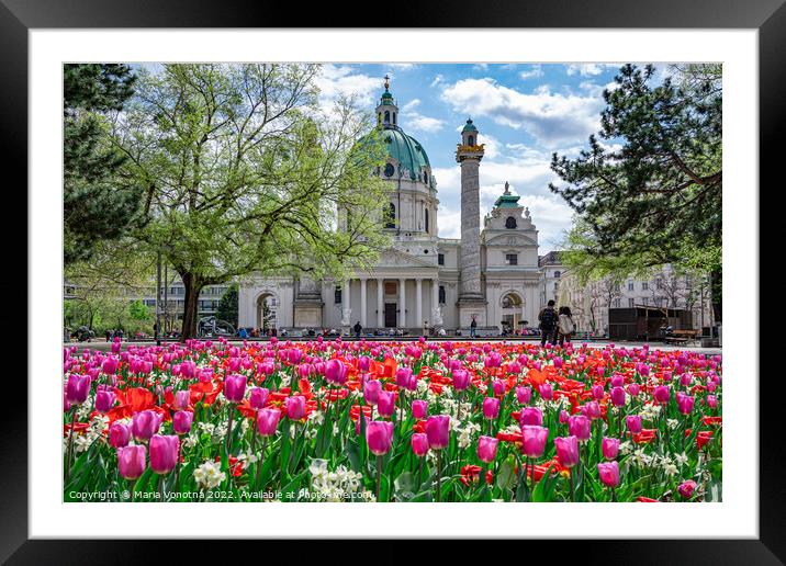 Vienna in spring Framed Mounted Print by Maria Vonotna
