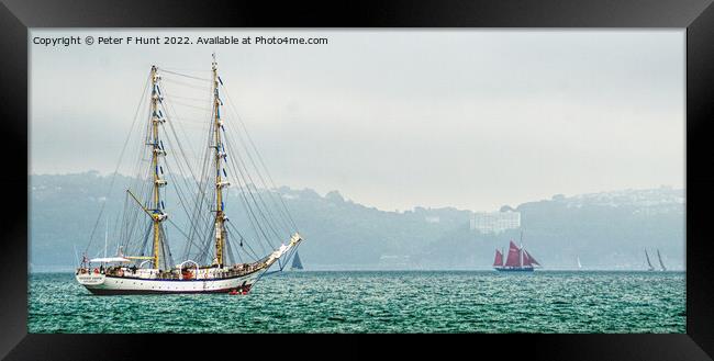 A Splendid View  Framed Print by Peter F Hunt