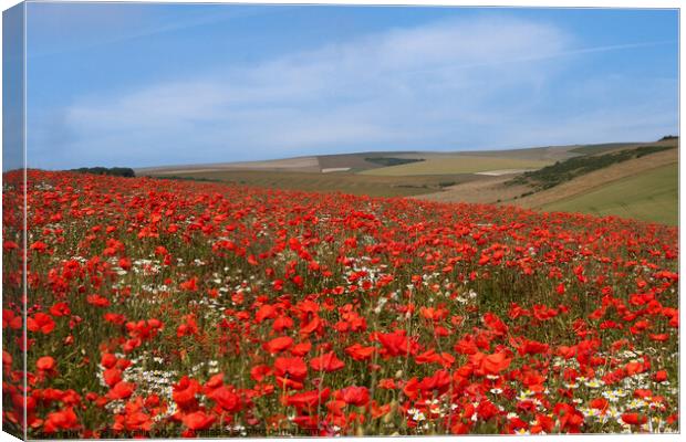Long view over poppy fields Canvas Print by Sally Wallis