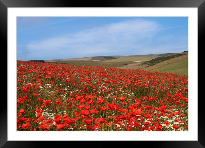 Long view over poppy fields Framed Mounted Print by Sally Wallis