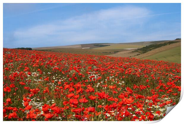 Long view over poppy fields Print by Sally Wallis