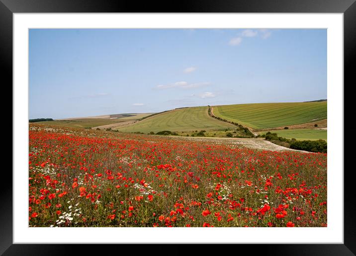 South Downs Poppy field Framed Mounted Print by Sally Wallis